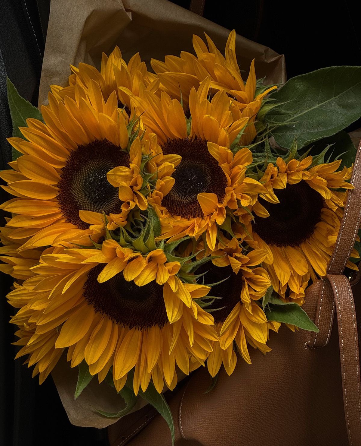 LQ-陈明丹4.21 Krásne slnečnicové semená✨🌻Ľahko sa pestuje