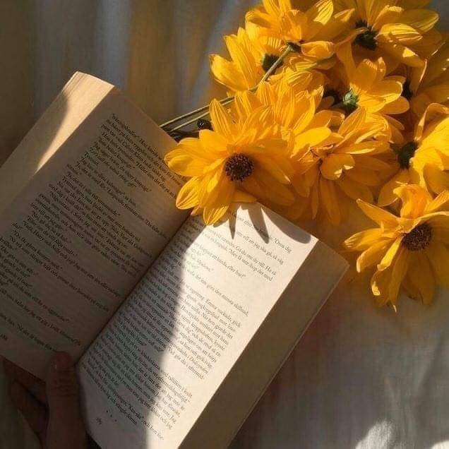 LQ-陈明丹4.21 Krásne slnečnicové semená✨🌻Ľahko sa pestuje