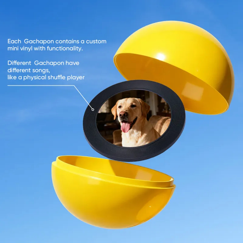 Personalized Music and Photo Music Gachapon Machine Custom Song Mini Record Box Retro Gifts for Pet Lover