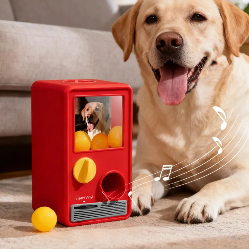 Personalized Music and Photo Music Gachapon Machine Custom Song Mini Record Box Retro Gifts for Pet Lover