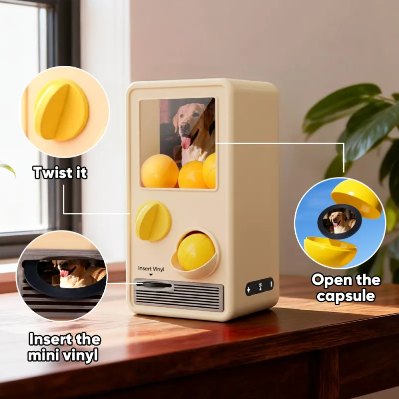 Personalized Music and Photo Music Gachapon Machine Custom Song Mini Record Box Retro Gifts for Pet Lover