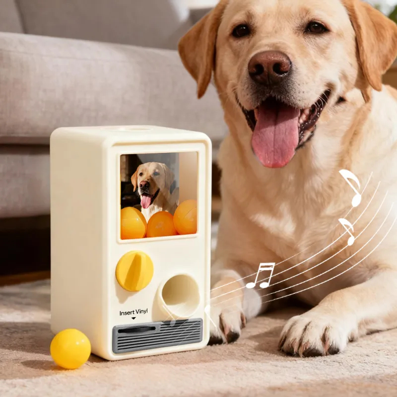 Personalized Music and Photo Music Gachapon Machine Custom Song Mini Record Box Retro Gifts for Pet Lover