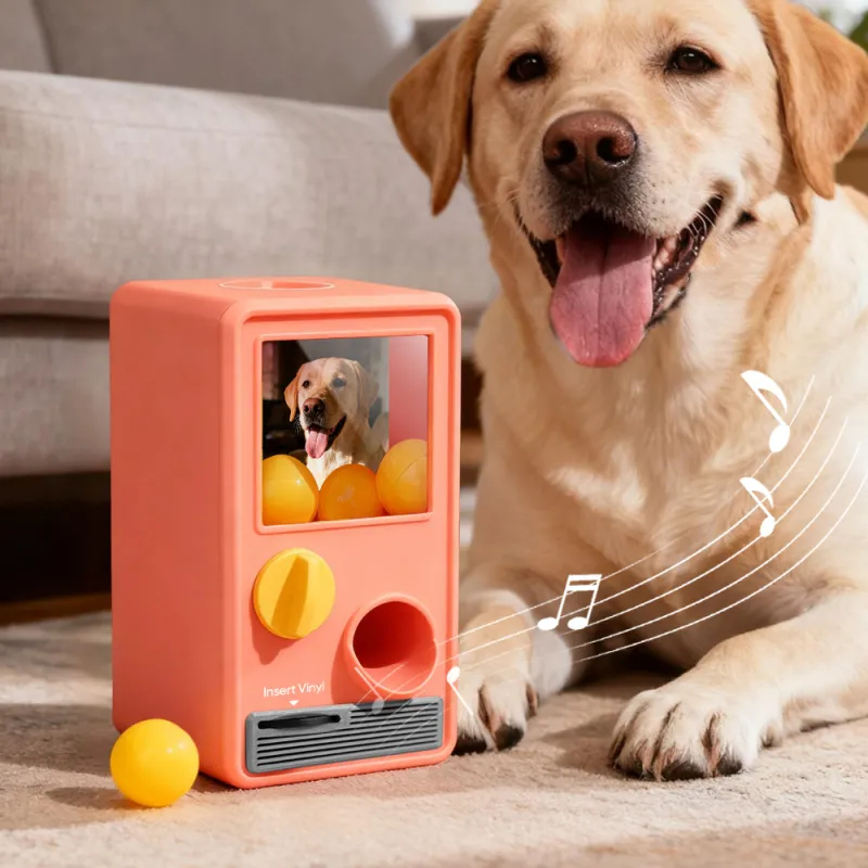 Personalized Music and Photo Music Gachapon Machine Custom Song Mini Record Box Retro Gifts for Pet Lover