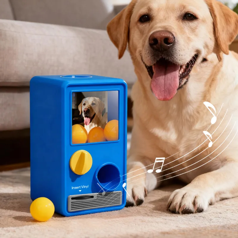 Personalized Music and Photo Music Gachapon Machine Custom Song Mini Record Box Retro Gifts for Pet Lover