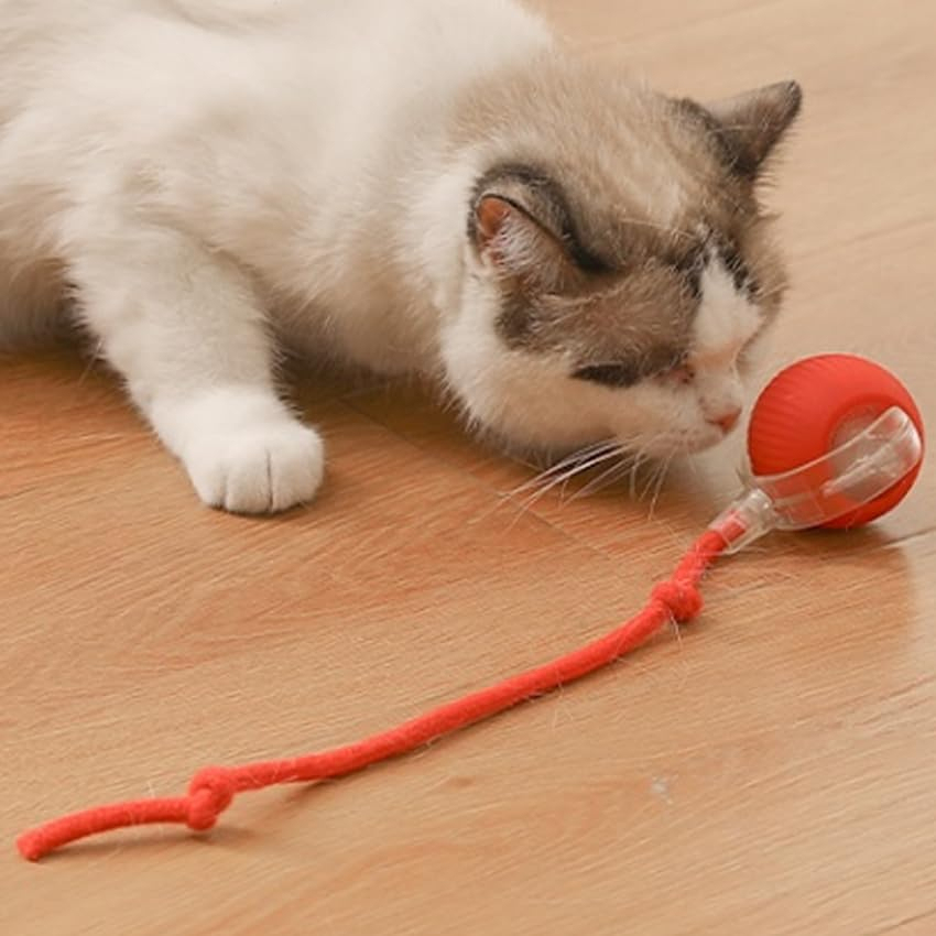 Cat Toy Ball with Tail Rope, Smart Rolling Ball, LED Light, Electric Self-Rolling Pet Toy, Interactive Cat Jumping Ball, Automatic Cat Teaser Ball, Small Dog Toy, Pet Excercise, Cat Activity