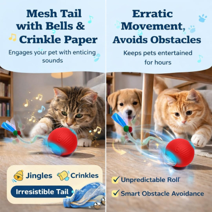 Cat Toy Ball with Tail Rope, Smart Rolling Ball, LED Light, Electric Self-Rolling Pet Toy, Interactive Cat Jumping Ball, Automatic Cat Teaser Ball, Small Dog Toy, Pet Excercise, Cat Activity