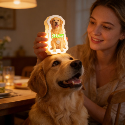 Personalized Cat & Dog Motion Sensor Wall Lamp Custom Pet Photo Night Light for Pet Lover