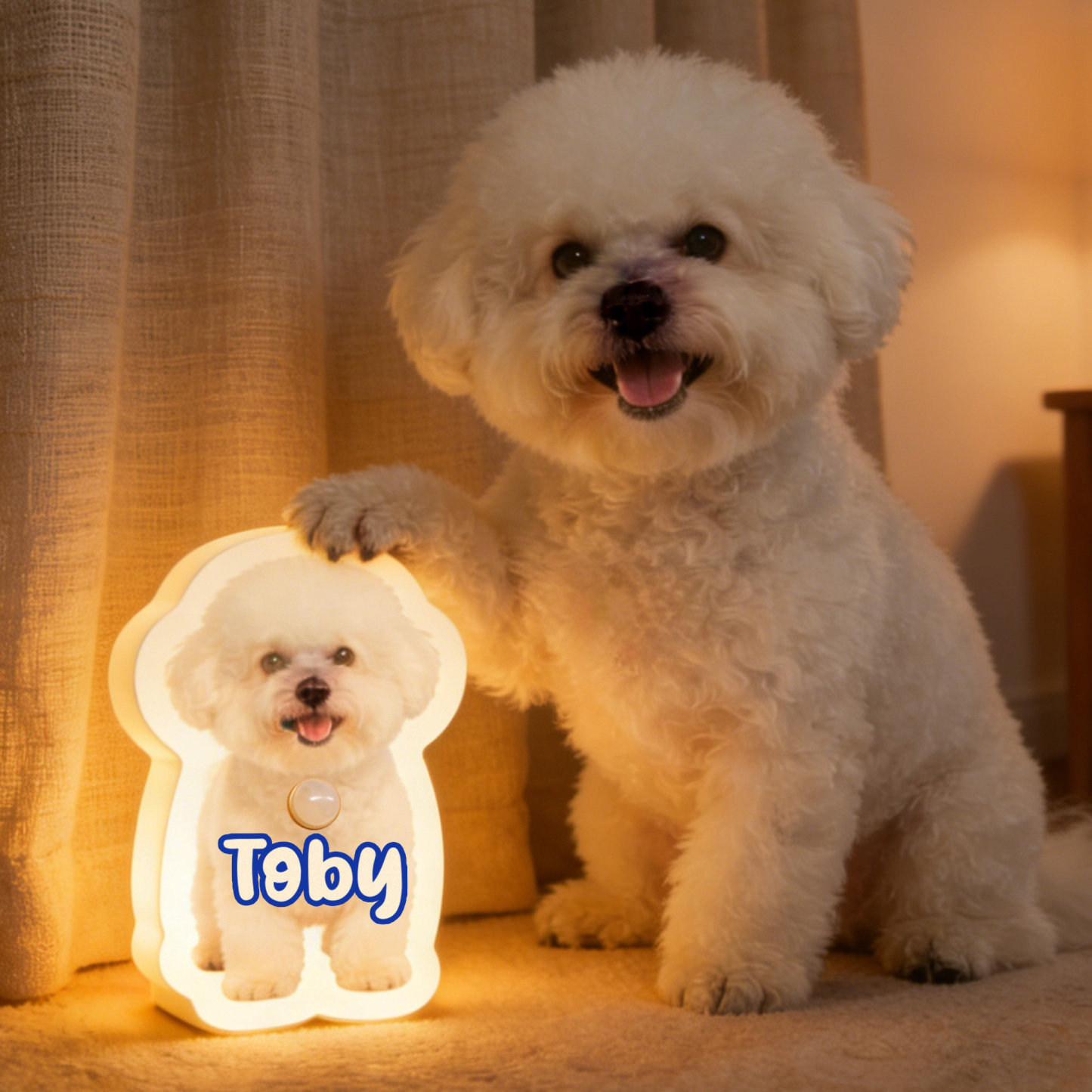 Personalized Cat & Dog Motion Sensor Wall Lamp Custom Pet Photo Night Light for Pet Lover