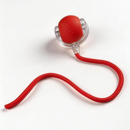 Cat Toy Ball with Tail Rope, Smart Rolling Ball, LED Light, Electric Self-Rolling Pet Toy, Interactive Cat Jumping Ball, Automatic Cat Teaser Ball, Small Dog Toy, Pet Excercise, Cat Activity