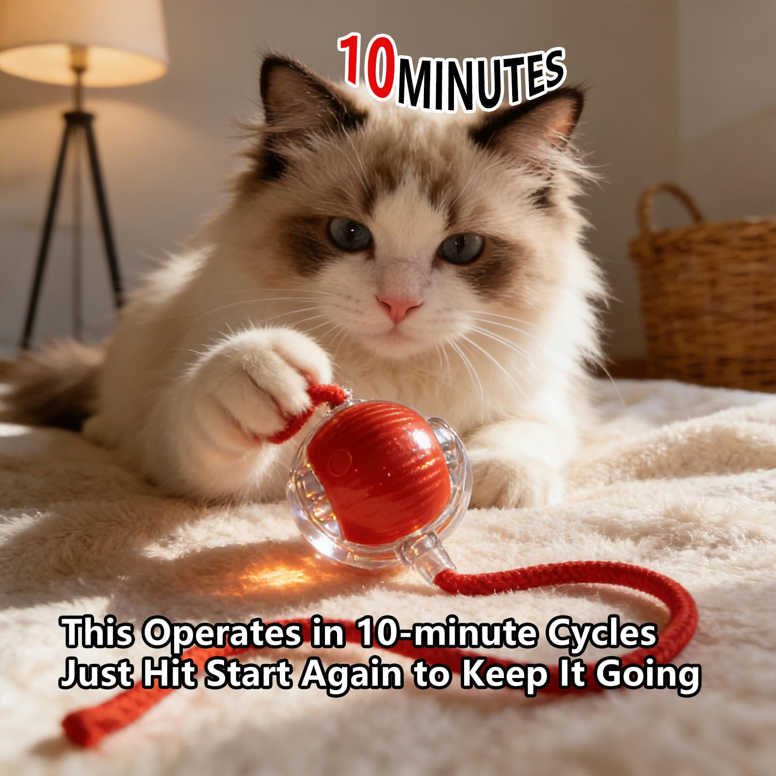 Cat Toy Ball with Tail Rope, Smart Rolling Ball, LED Light, Electric Self-Rolling Pet Toy, Interactive Cat Jumping Ball, Automatic Cat Teaser Ball, Small Dog Toy, Pet Excercise, Cat Activity