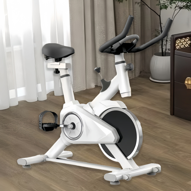 Indoor Stationary Exercise Bike - Silent Belt-Driven Spinning Bike for Home Cardio