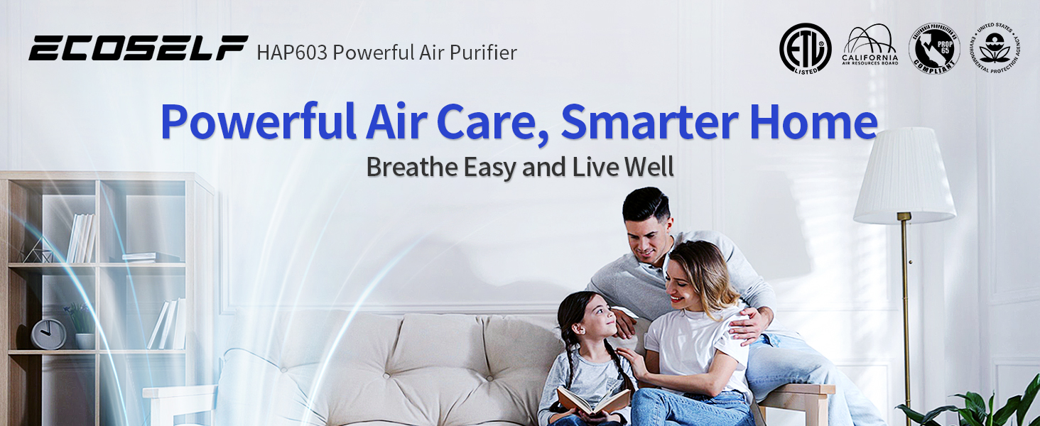 air purifiers for home large room