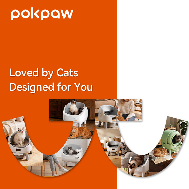 POKPAW Arenero Automático para Gatos 82L con Autolimpieza, Caja de Arena Inteligente WiFi, Depósito de Desechos 10L, Hasta 7 Días sin Limpiar