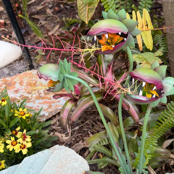 😮🌱Carnivorous Plant Garden Stake