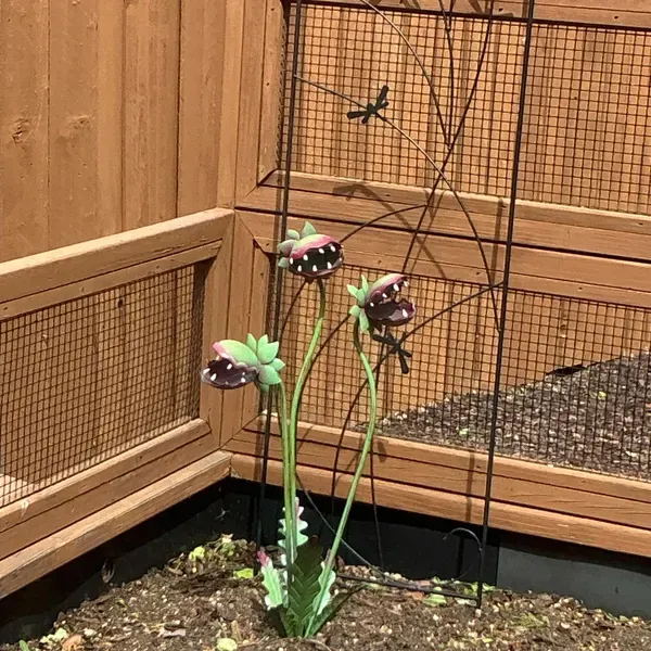 😮🌱Carnivorous Plant Garden Stake
