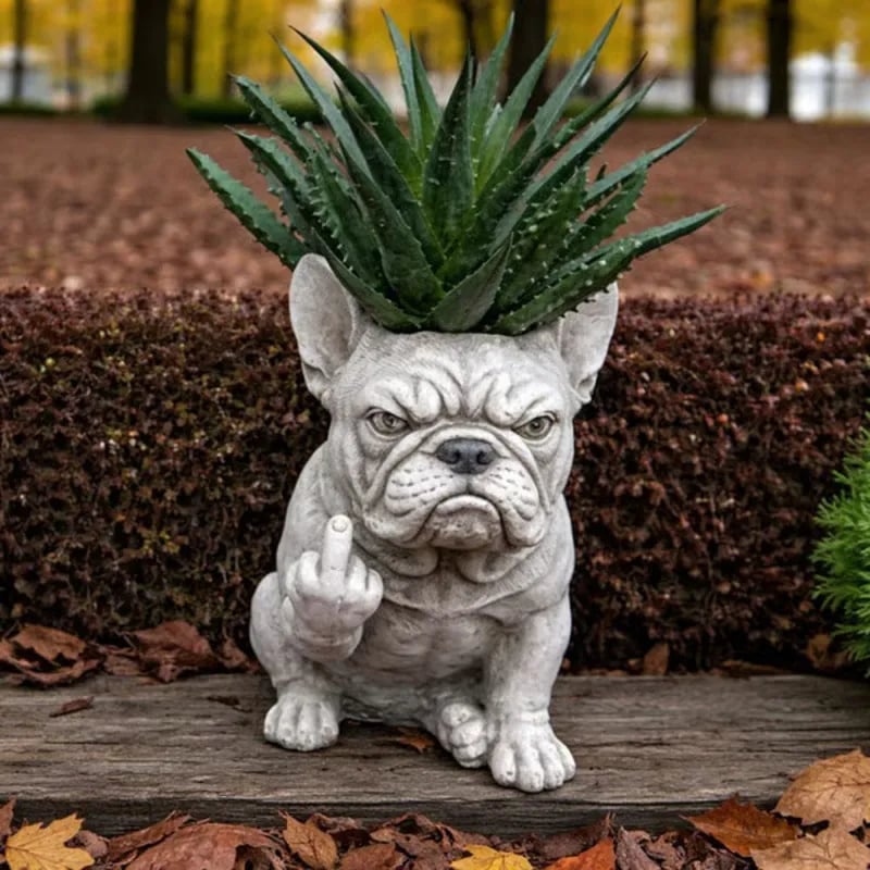 Funny French Bulldog Planter – Your Plants Just Got Attitude 🌿🐶