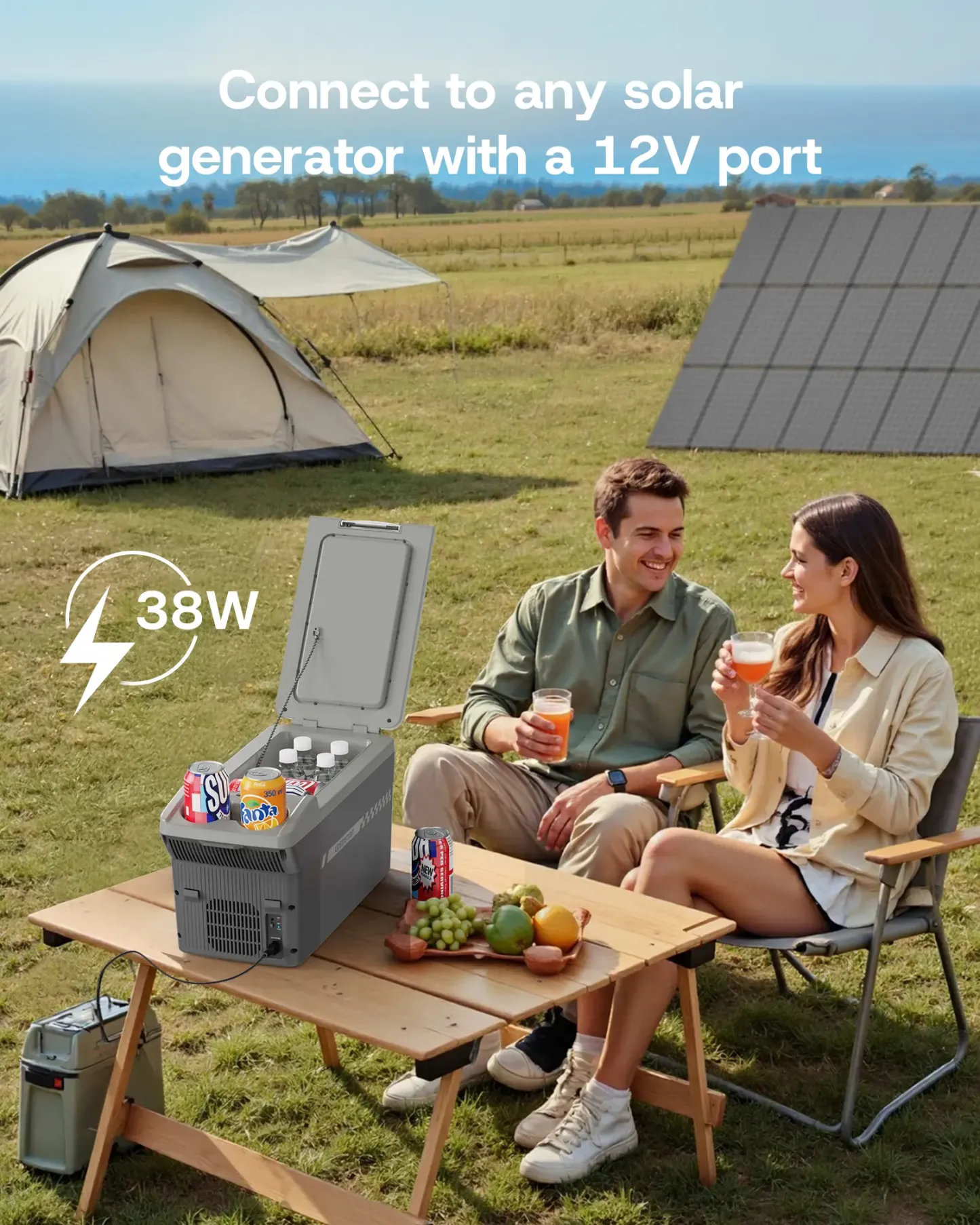 Nevera Portátil para Auto 12V 11L