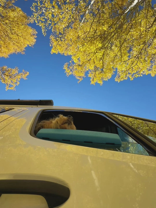 Pet Car Window Comfort Pad