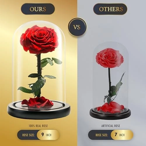 Forever Preserved Rose - Eternal Rose in  Assorted Colors , Sizes