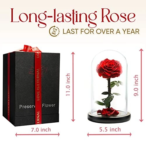 Forever Preserved Rose - Eternal Rose in  Assorted Colors , Sizes