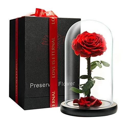 Forever Preserved Rose - Eternal Rose in  Assorted Colors , Sizes