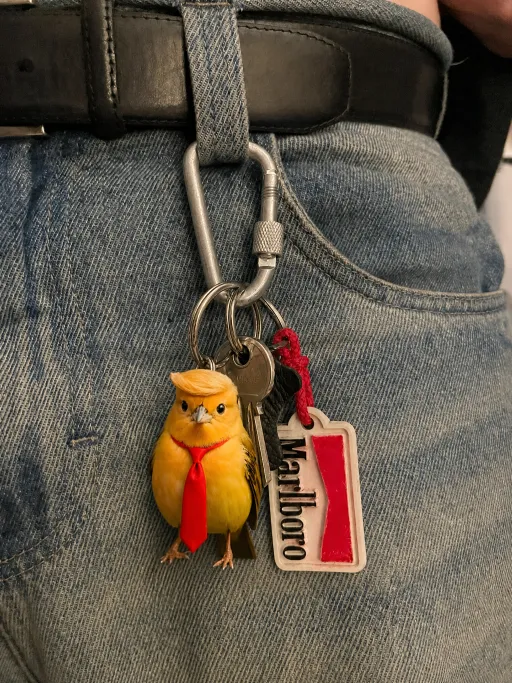 🐦Cute Little Bird Keychain