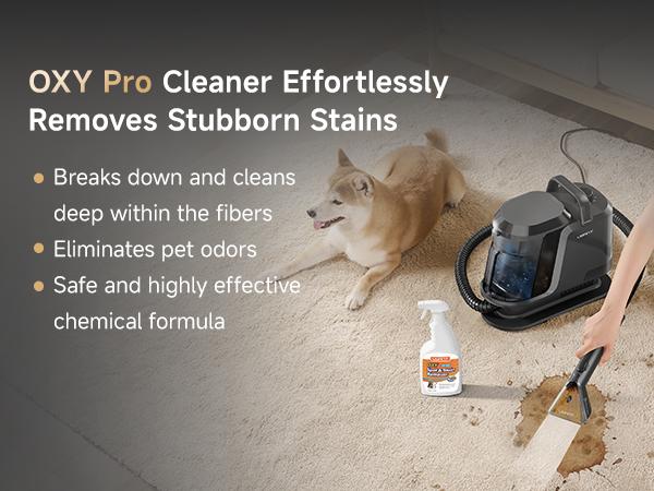 UWANT Steam Carpet Cleaner with 212&deg;F Steam & 140&deg;F Hot Water Mode, 18kPa Suction Upholstery Spot Cleaner for Car，Couch, Mattress, Pet Stains & Professional Deep Cleaning