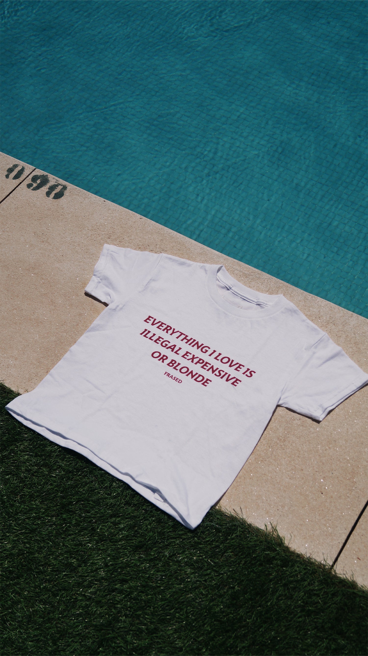 EVERYTHING I LOVE IS ILLEGAL, EXPENSIVE OR BLONDE - BABY TEE