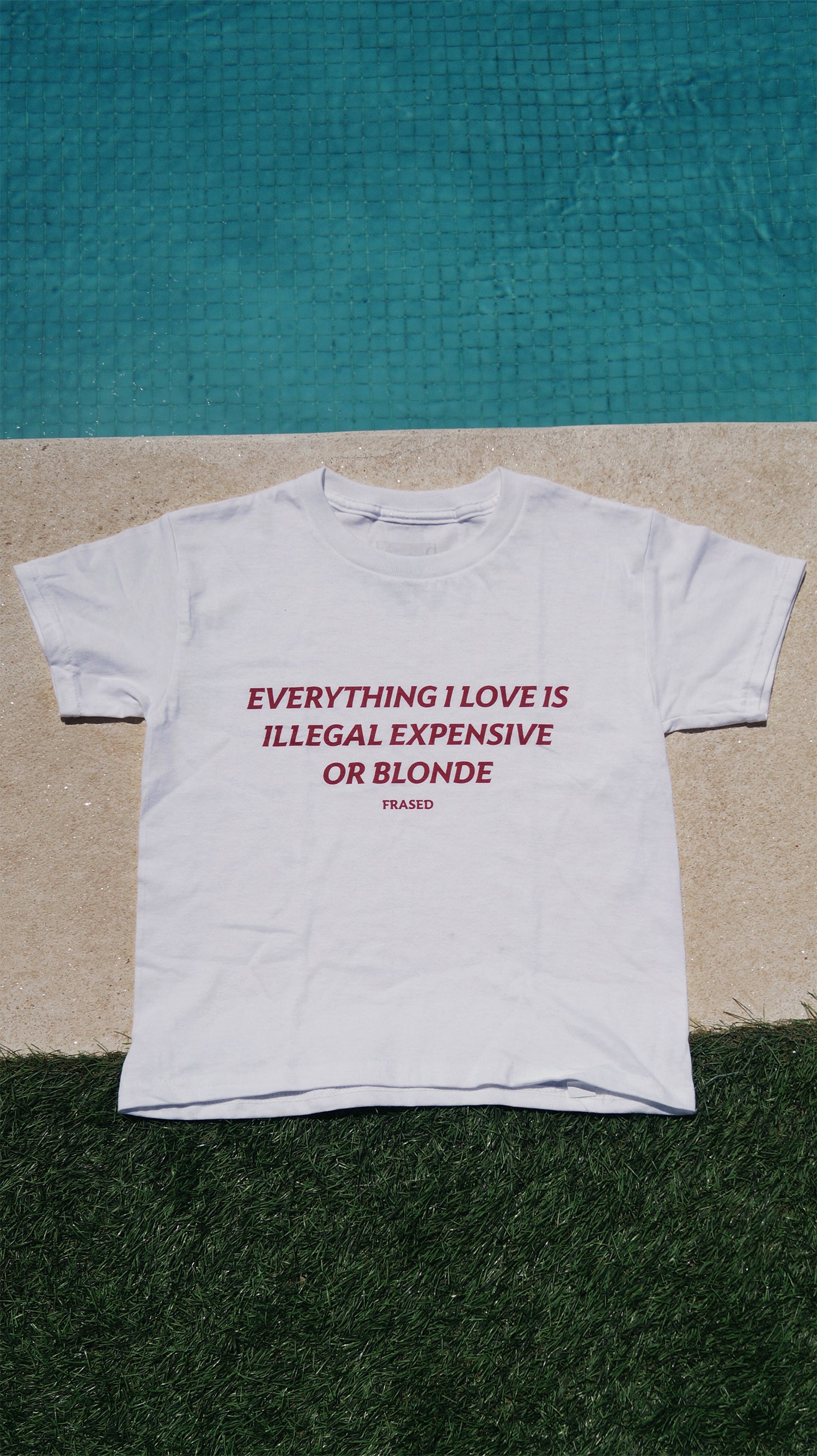EVERYTHING I LOVE IS ILLEGAL, EXPENSIVE OR BLONDE - BABY TEE