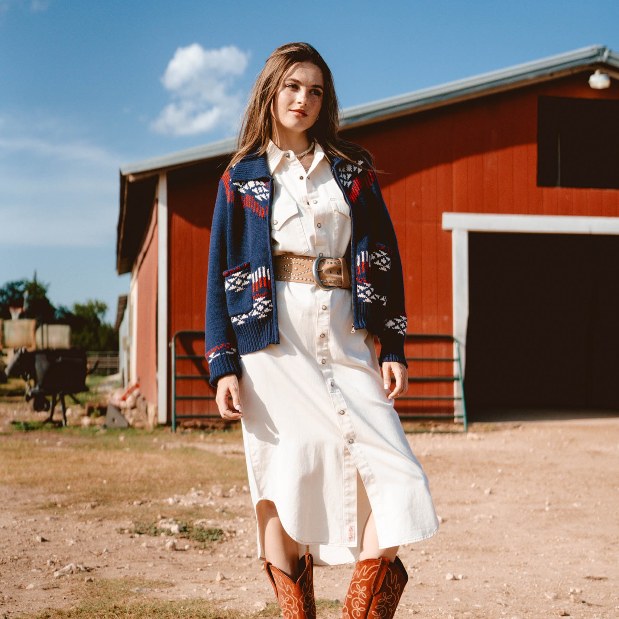 The Annie Pearl Snap Shirtdress多2