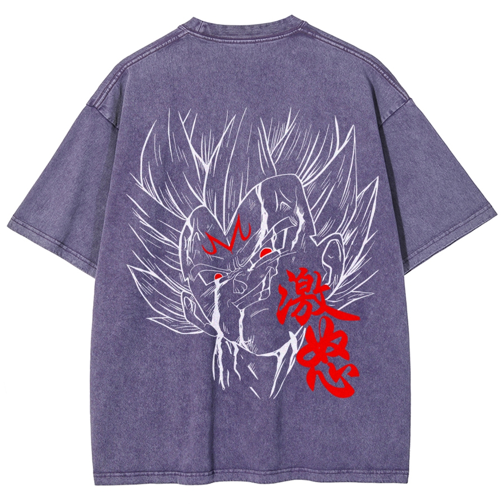 Dragon Ball Unisex Fit Washed T-Shirt 