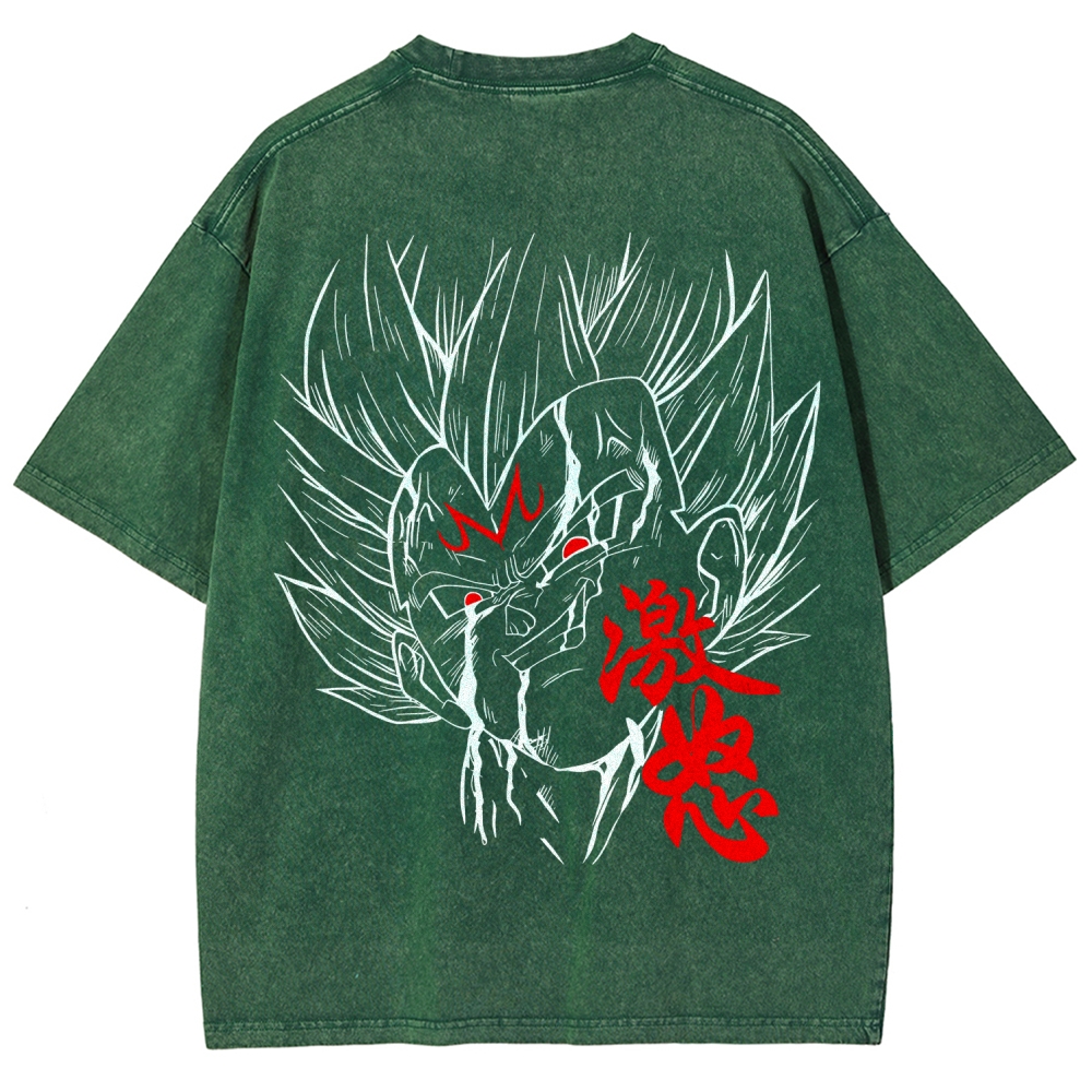 Dragon Ball Unisex Fit Washed T-Shirt 