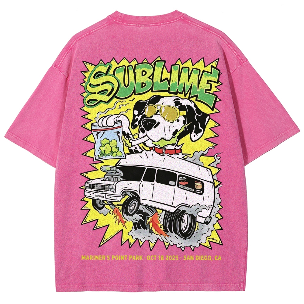 Sublime San Diego Dalmatian Van Tour Washed Tee