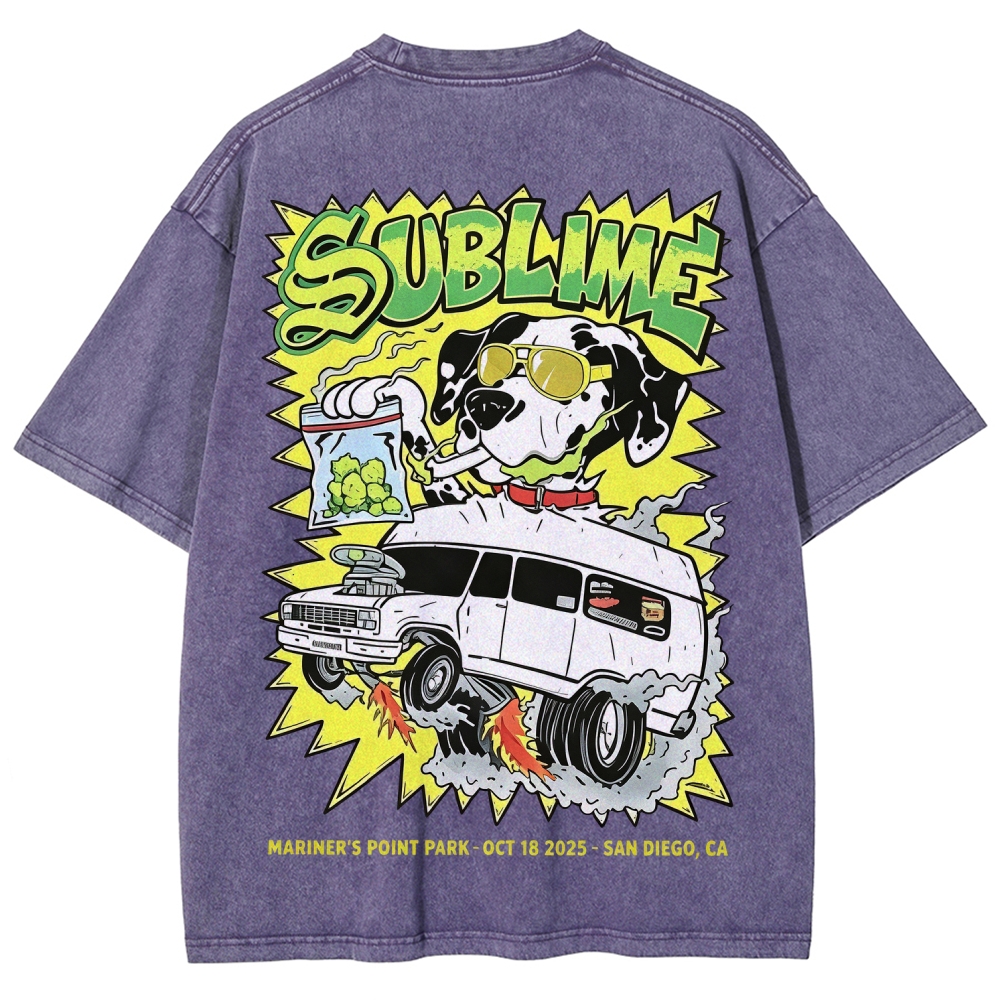 Sublime San Diego Dalmatian Van Tour Washed Tee