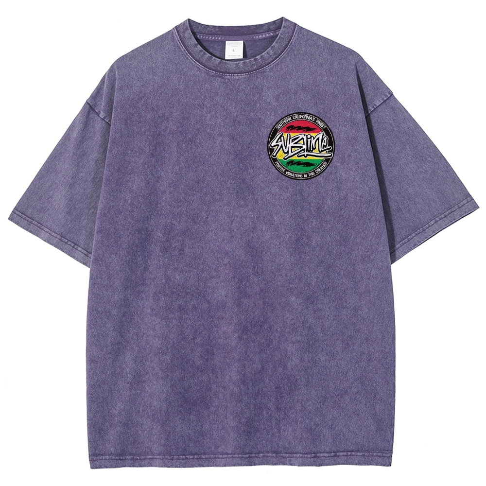 Sublime San Diego Dalmatian Van Tour Washed Tee