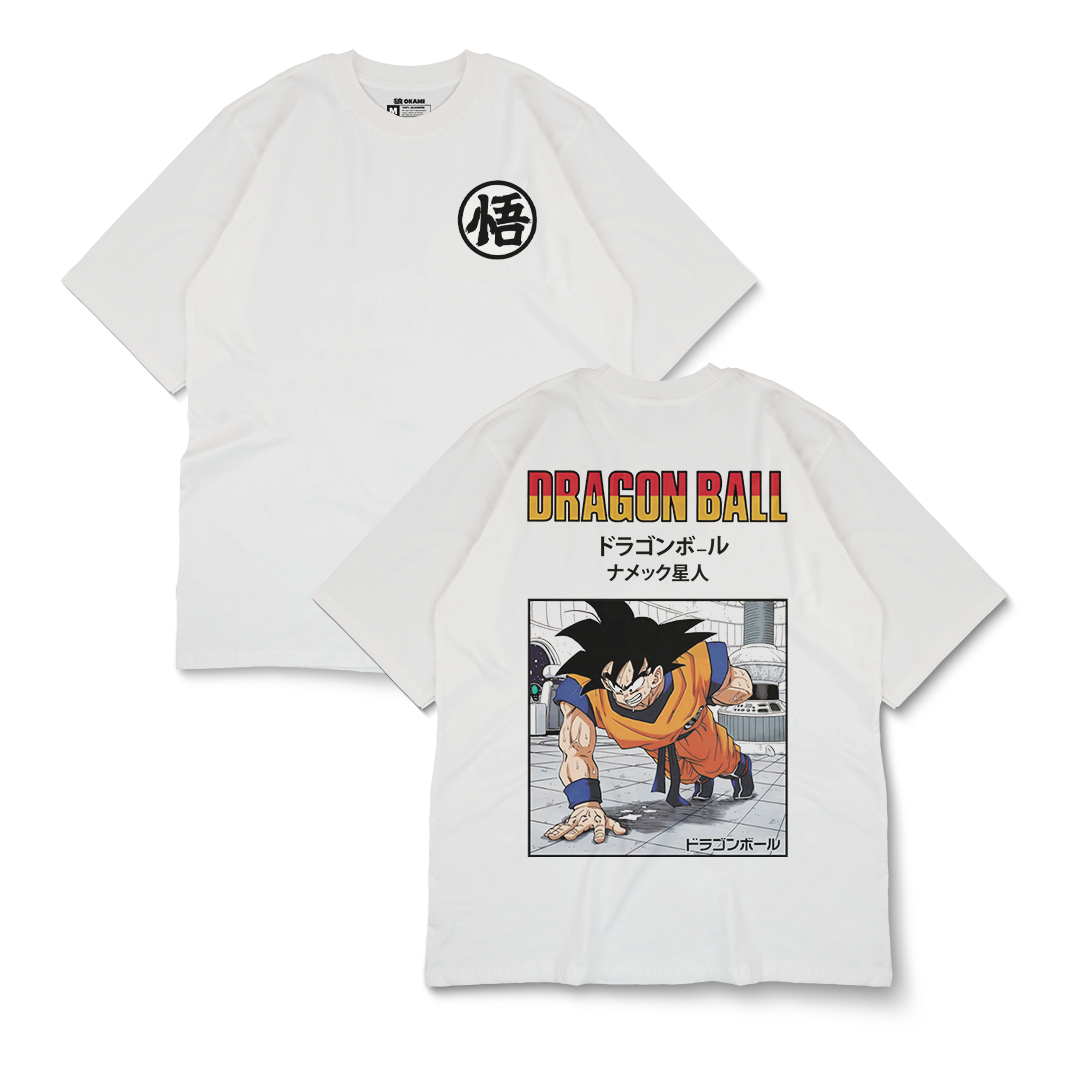 DBZ - Goku Training