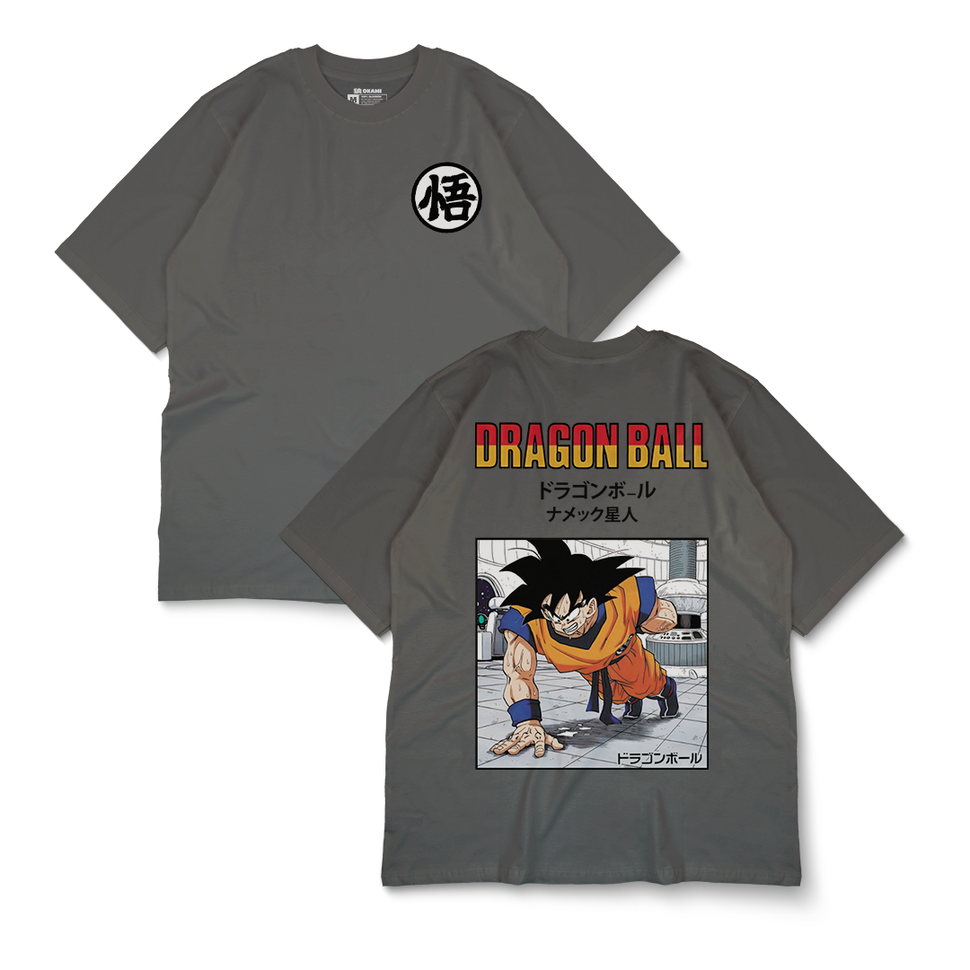 DBZ - Goku Training