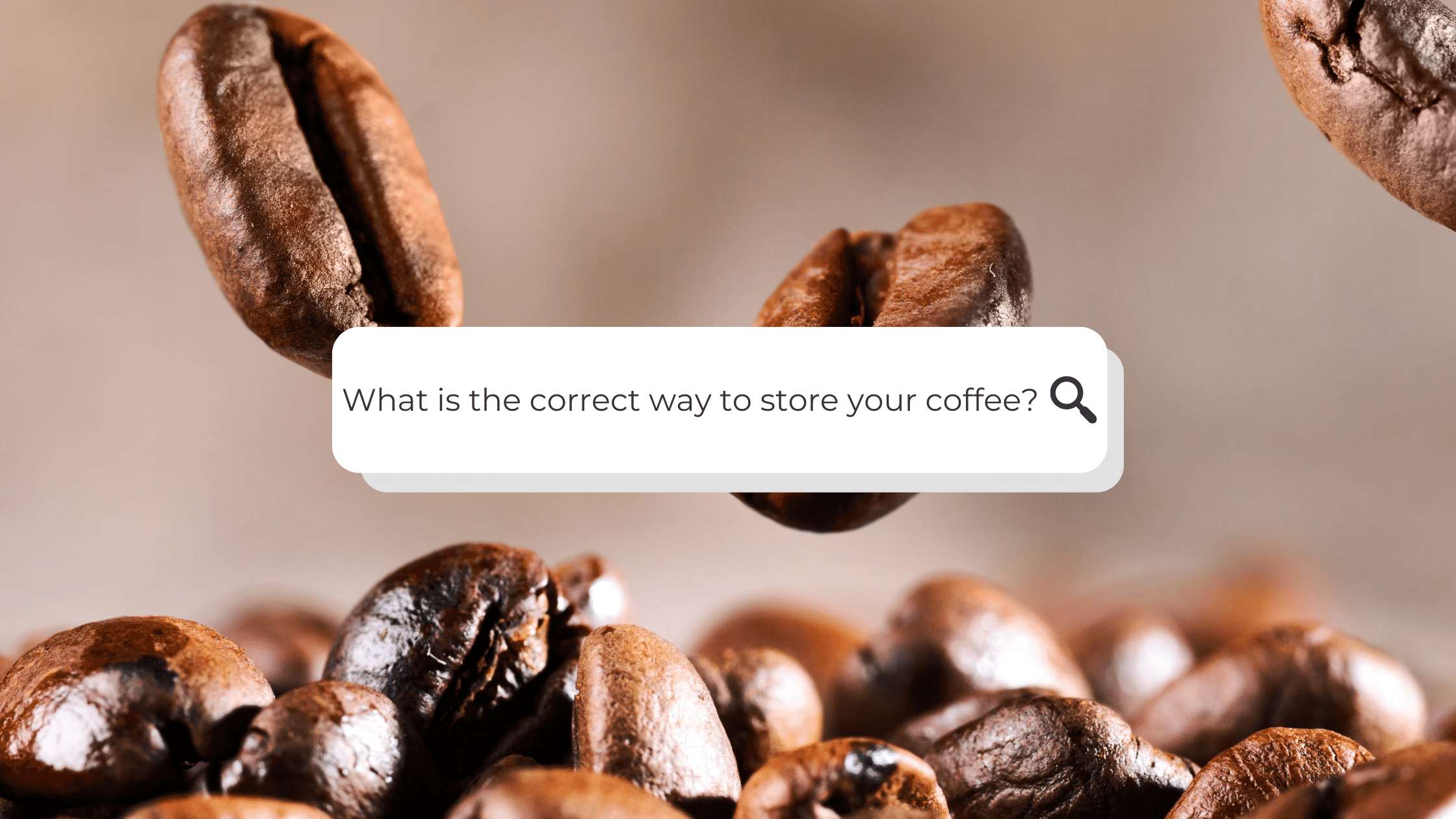 How to store your coffee: The correct way Alpaco Catering & Equipment