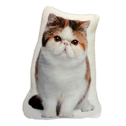 Persian Cat Print Pillow - White - 60*60 - image 1