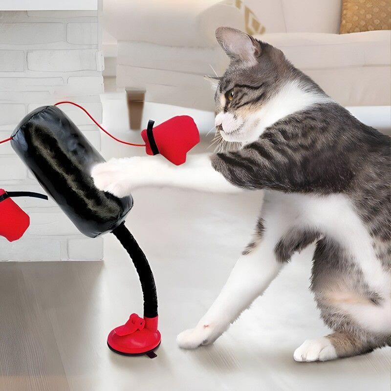 Cat Punching Bag Toy, Funny Interactive Cats Toys With Gloves  - Black - image 1