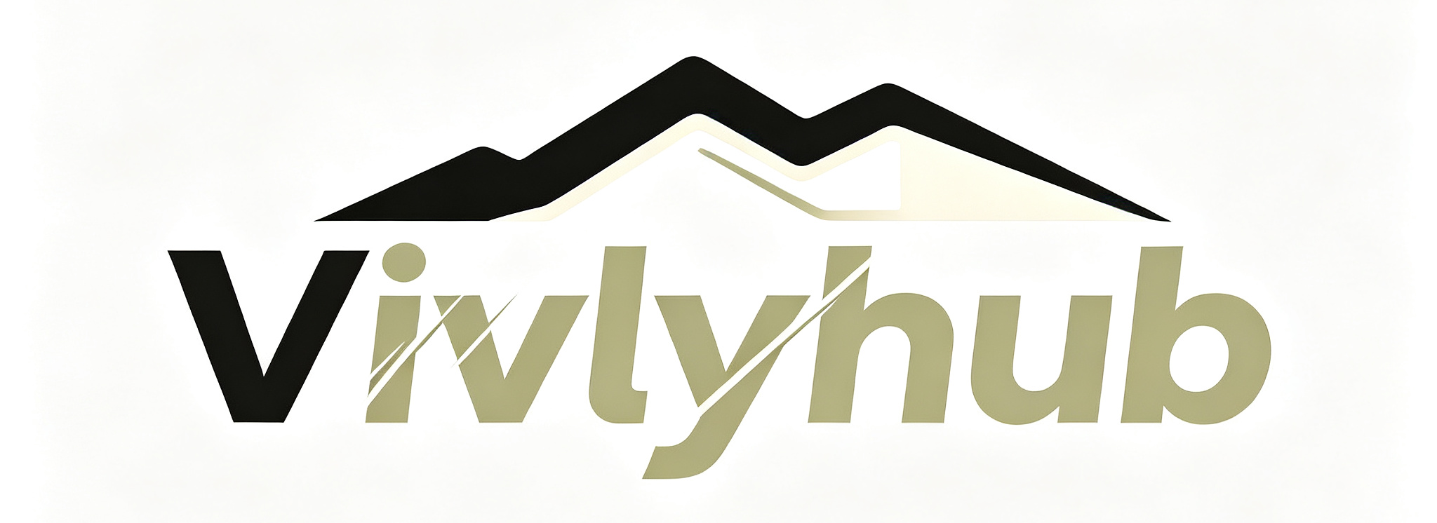VivlyHub