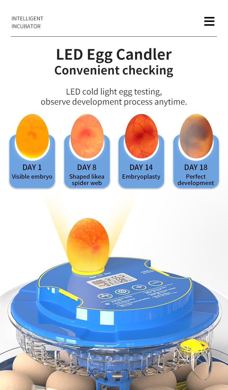 18 Eggs Incubators for Hatching Eggs,  Egg Incubator with Automatic Egg Turning and Temperature Control Humidity Display, Incubator for Chicken Eggs with Adapter,