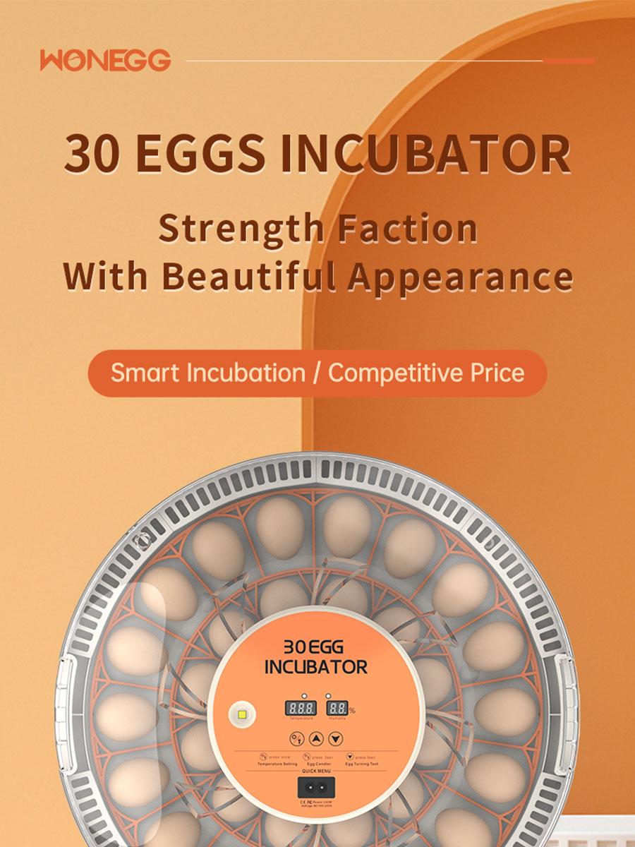 30 Egg Incubator with Automatic Turner, Digital Temperature and Humidity Display, and Built-in Egg Candler for Hatching Chickens, Quail, and Ducks