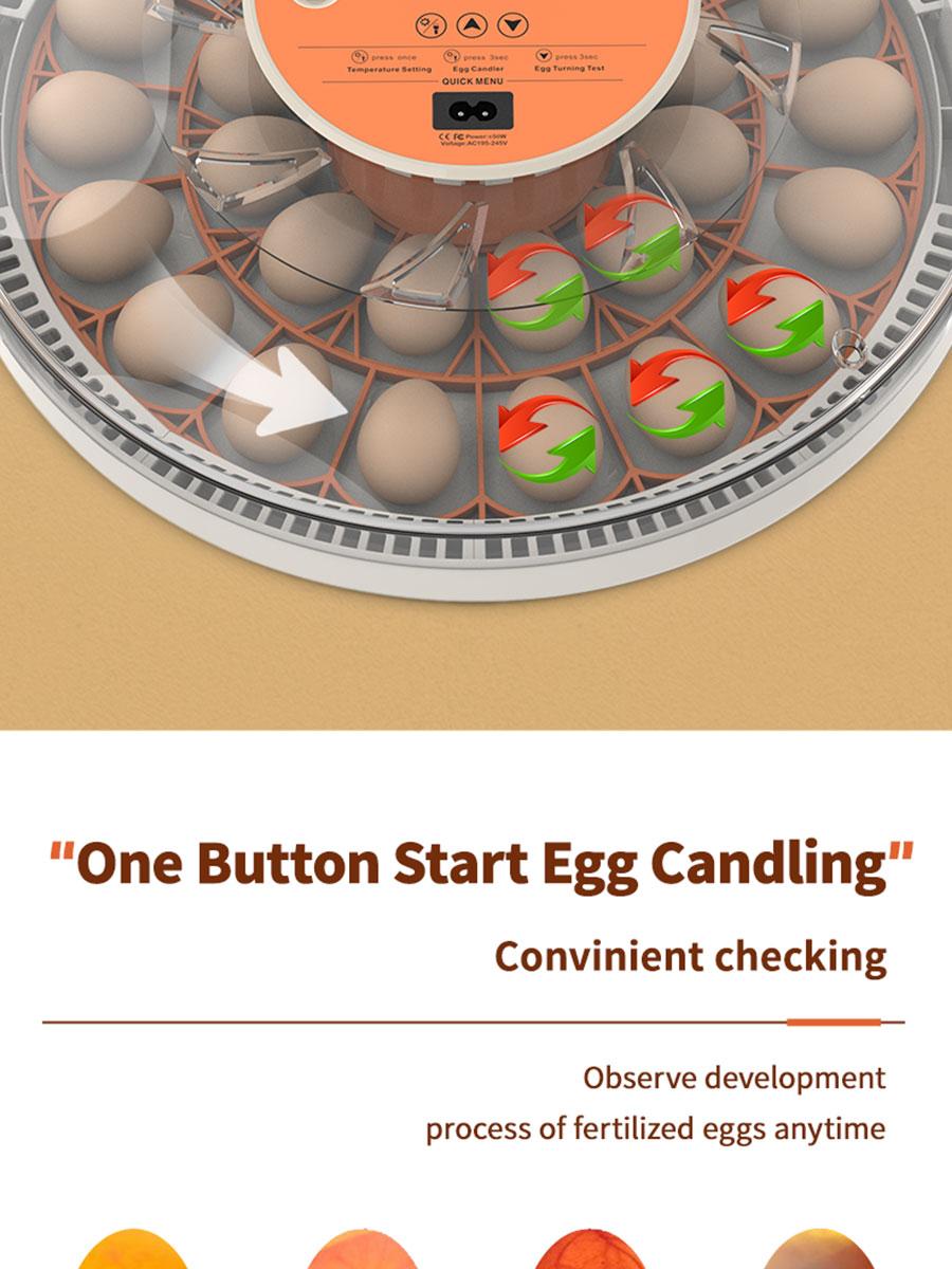 30 Egg Incubator with Automatic Turner, Digital Temperature and Humidity Display, and Built-in Egg Candler for Hatching Chickens, Quail, and Ducks