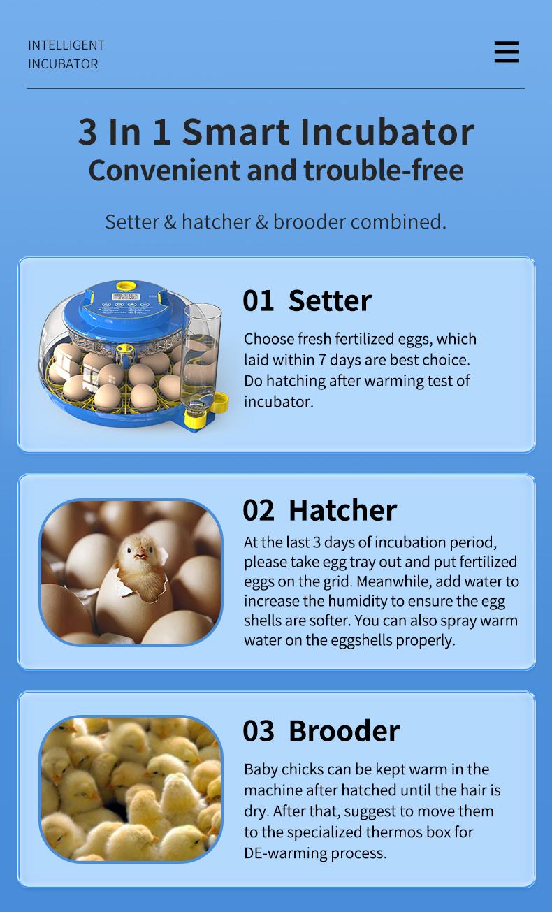 18 Eggs Incubators for Hatching Eggs,  Egg Incubator with Automatic Egg Turning and Temperature Control Humidity Display, Incubator for Chicken Eggs with Adapter,
