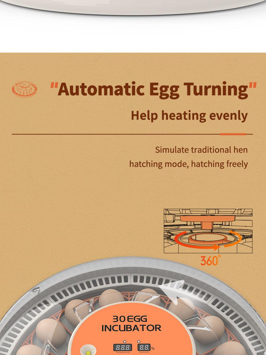 30 Egg Incubator with Automatic Turner, Digital Temperature and Humidity Display, and Built-in Egg Candler for Hatching Chickens, Quail, and Ducks