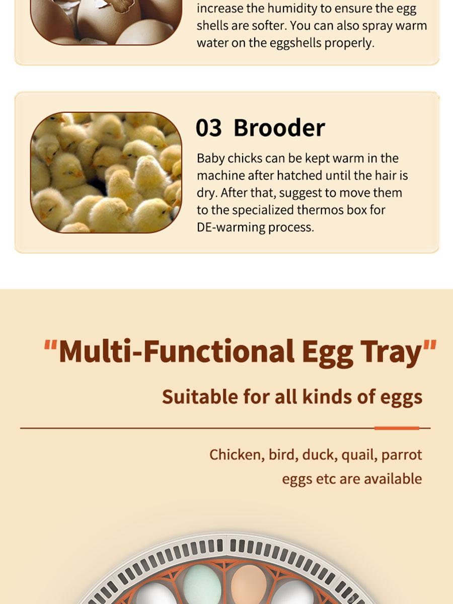 30 Egg Incubator with Automatic Turner, Digital Temperature and Humidity Display, and Built-in Egg Candler for Hatching Chickens, Quail, and Ducks
