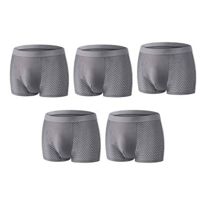 【Buy 3 Get 2 Free】-2026 HOT SALE🔥 Premium Leakproof lceSilk Mesh Men's Boxer