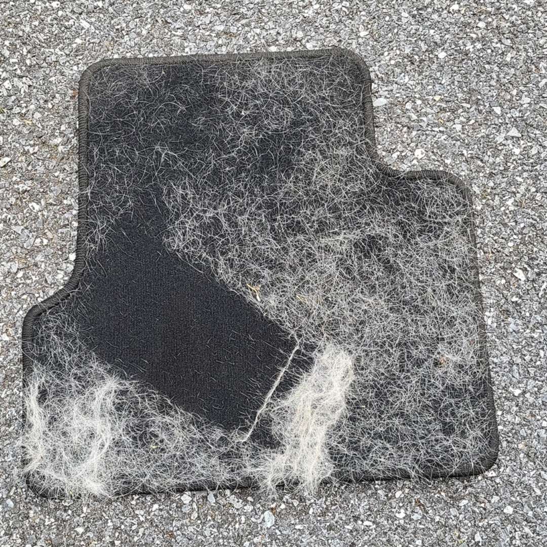Pets Clean Glove