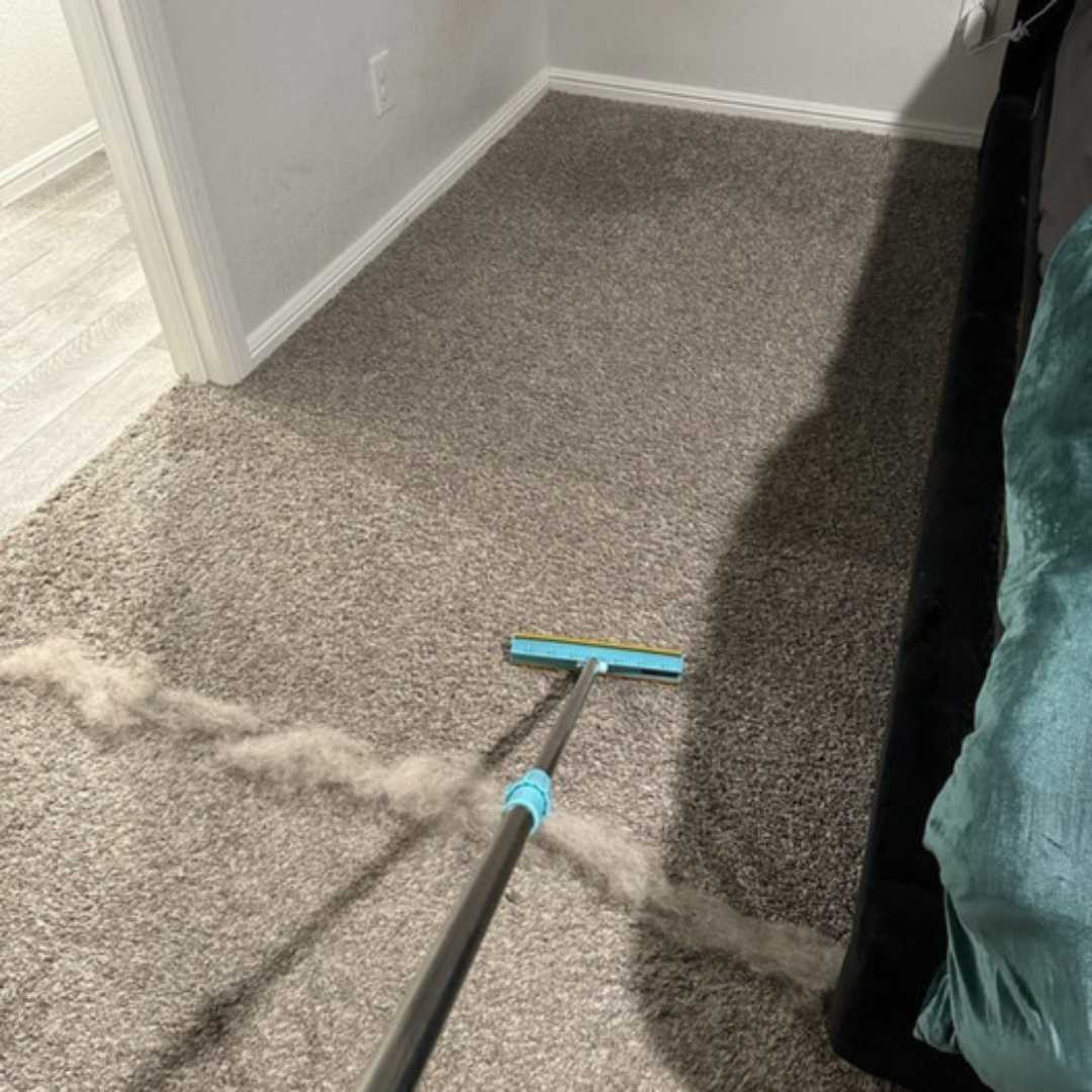 Effective Fur-Free Starter Kit